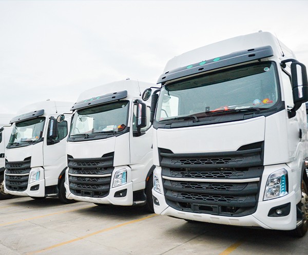 車(chē)輛(liàng)展示